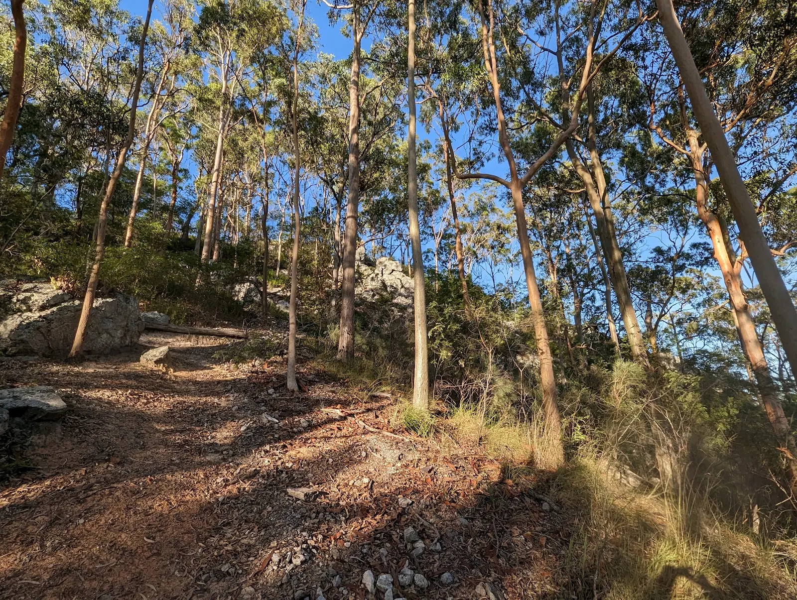 Little Mermaid lookout trailhead
