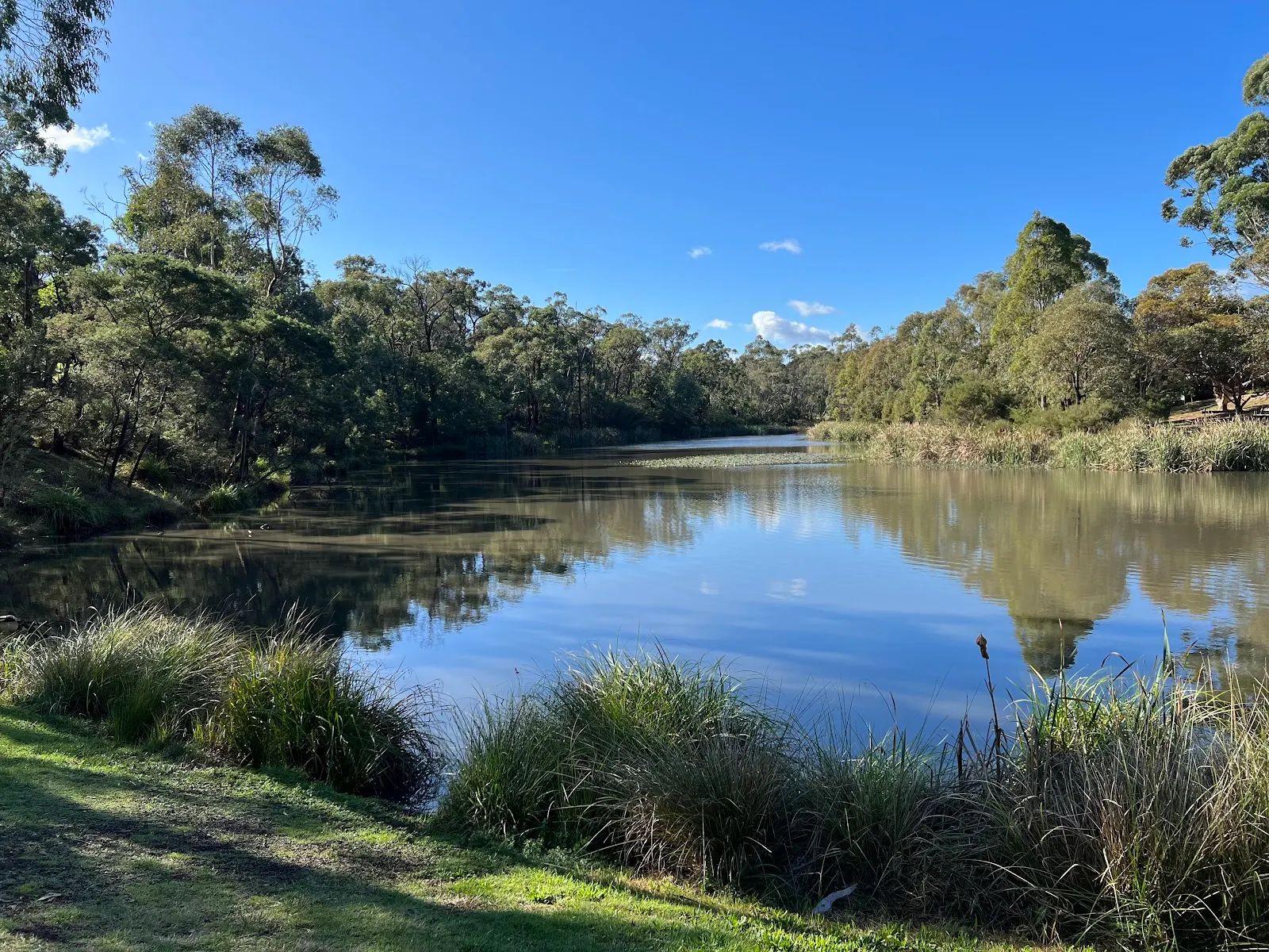 Candlebark Walk Reserve