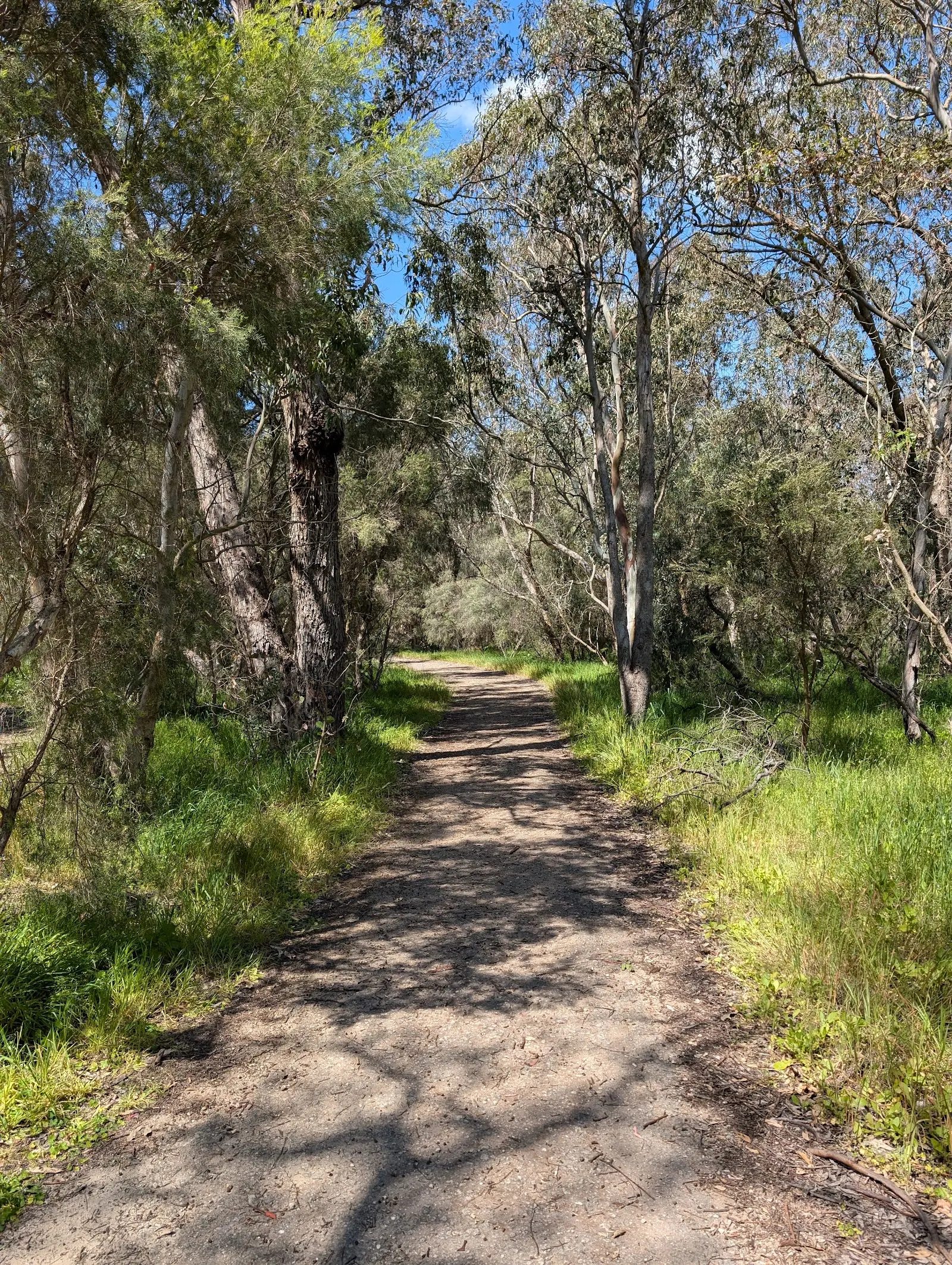 The Aboriginal Heritage Walk Trail