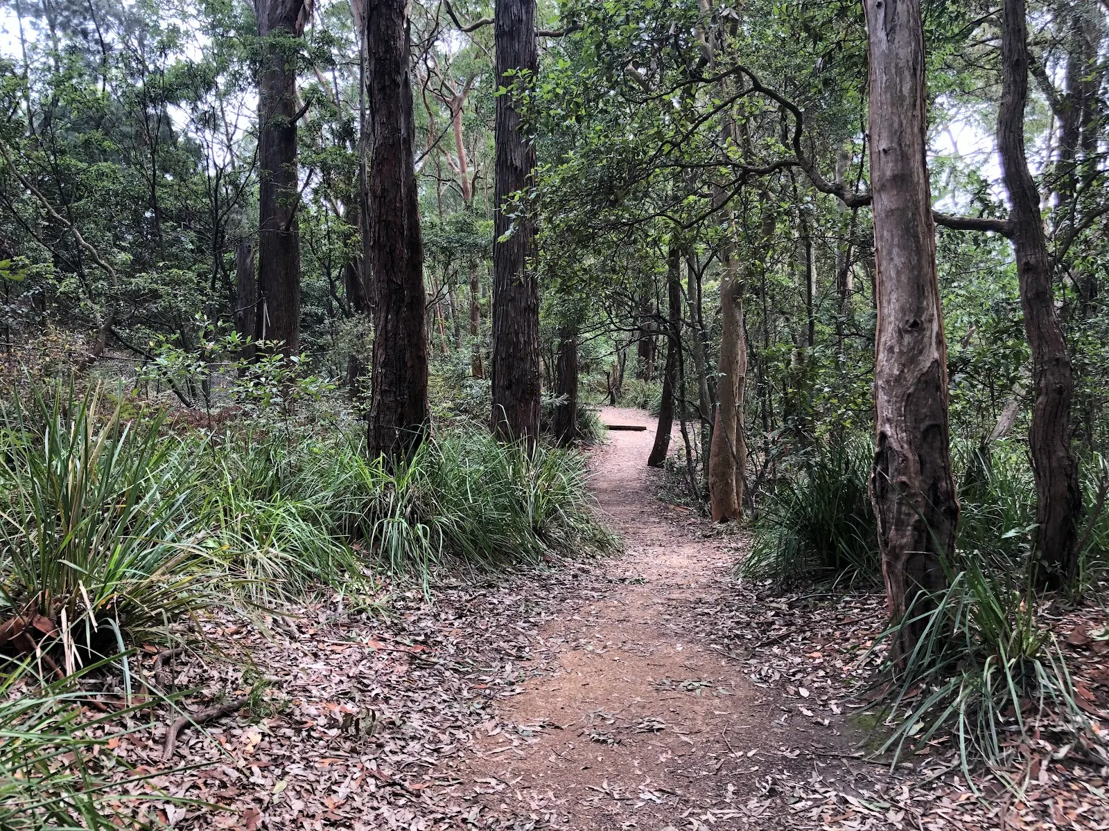 Wickham Walk