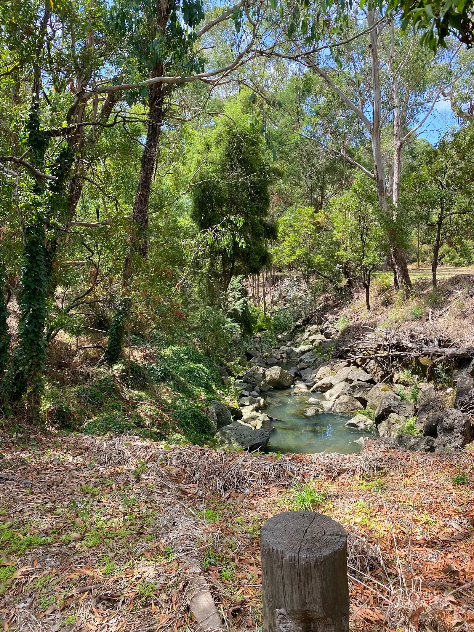 Bucks Walking Trail