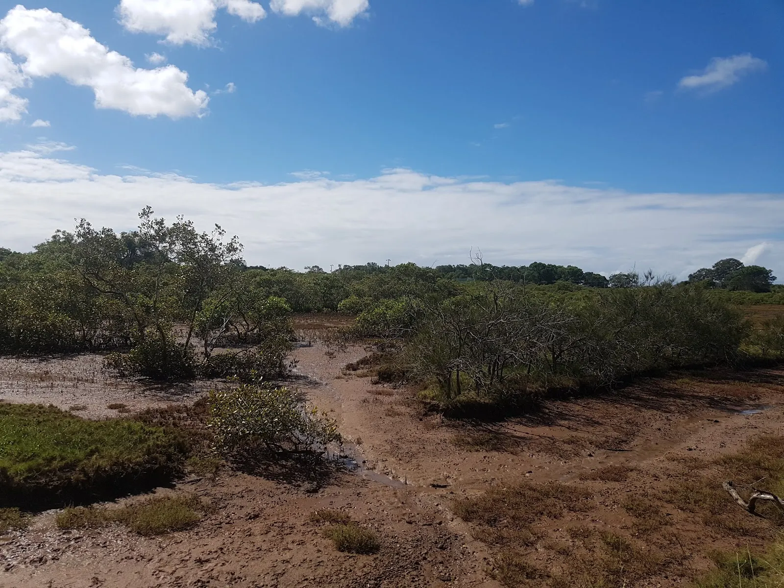 Chelsea Road Reserve