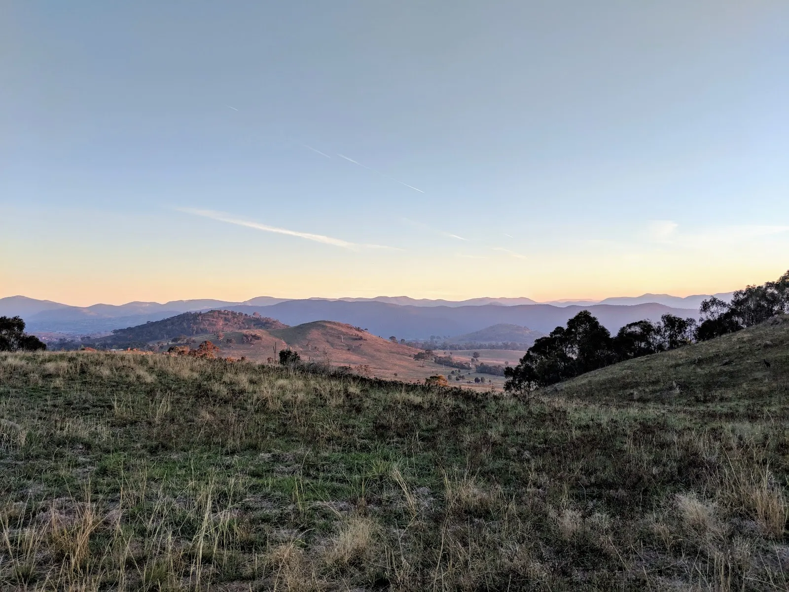 Cooleman Ridge Nature Track