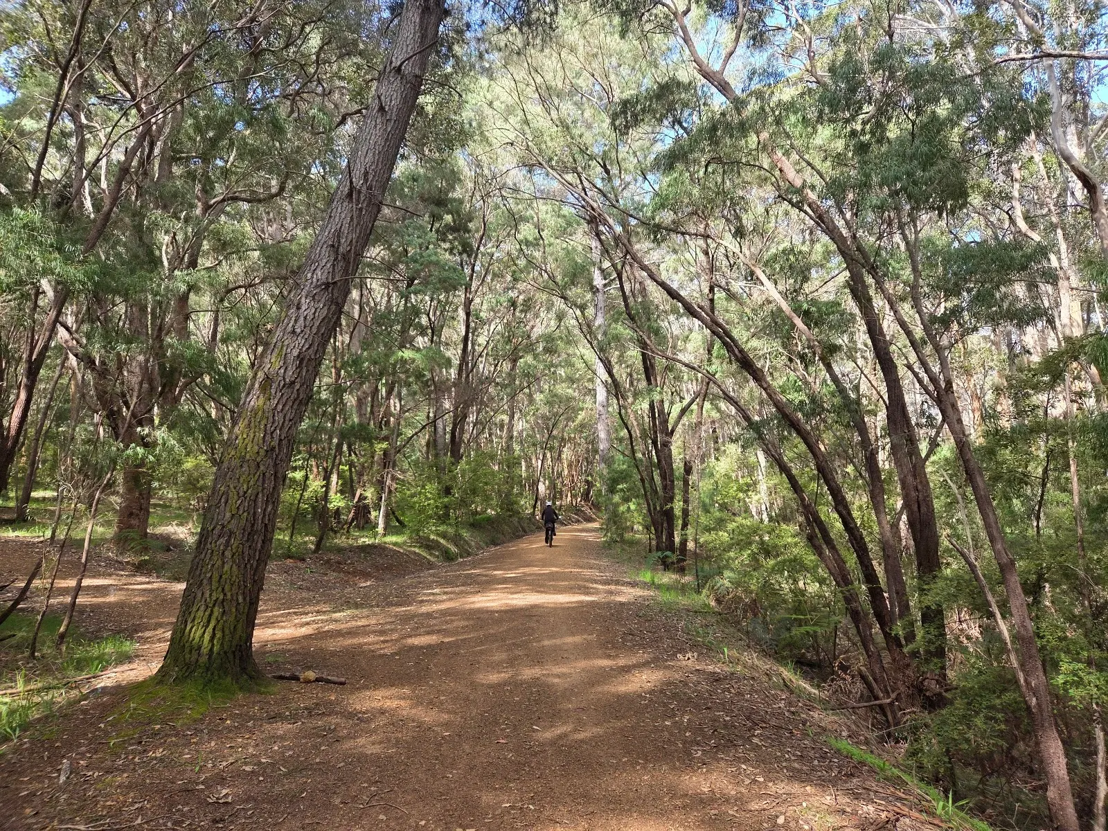 Wadandi Track