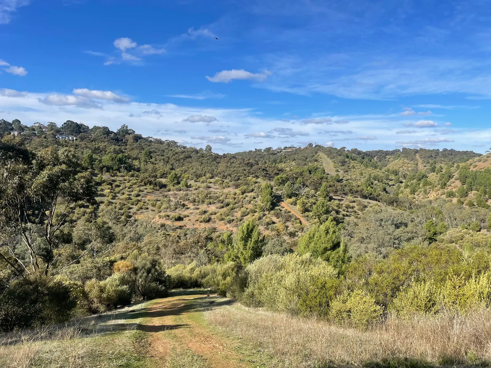 Sturt Gorge River Trail Trailhead