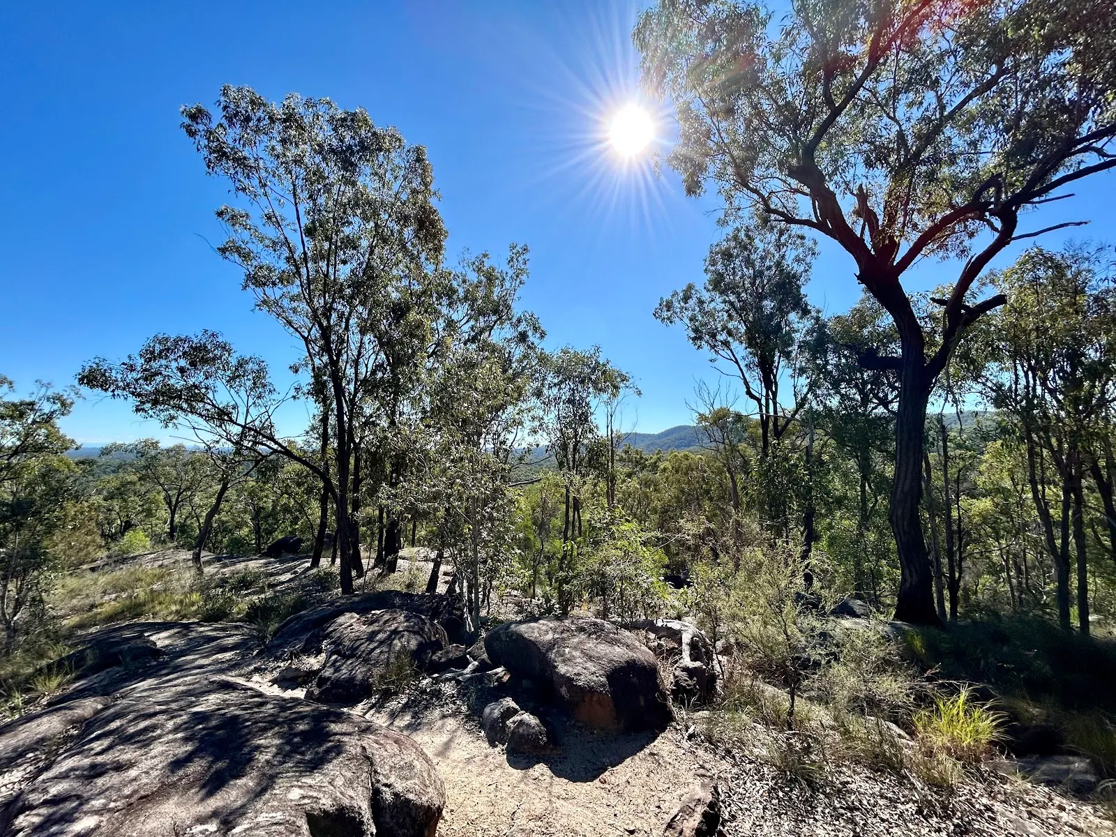 Wickham Timber Reserve