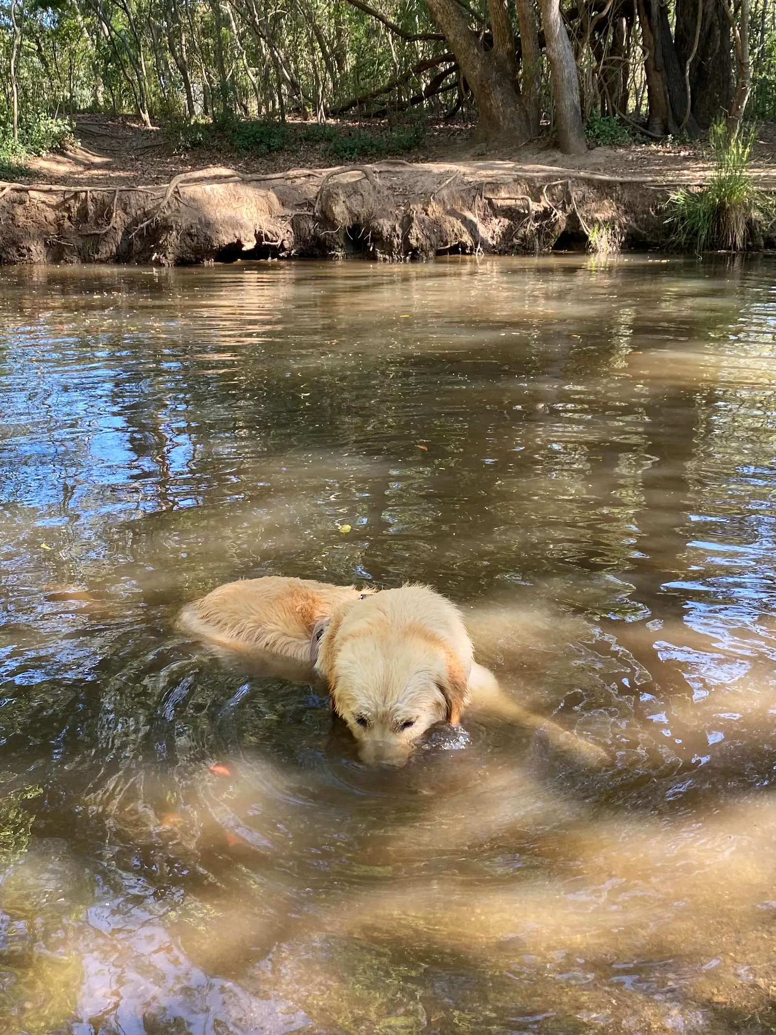 Barney’s Pond