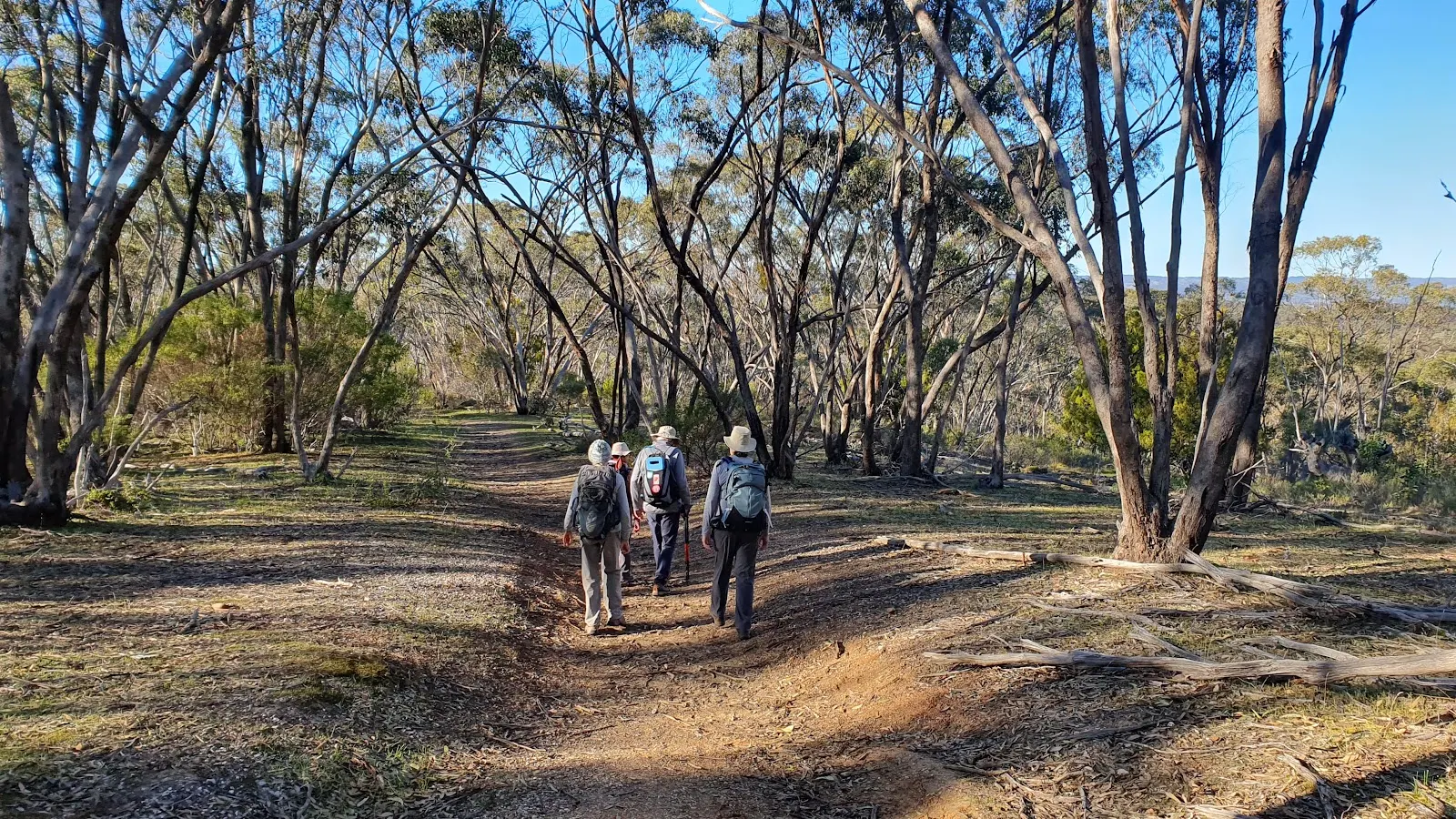 Willunga Basin Trail