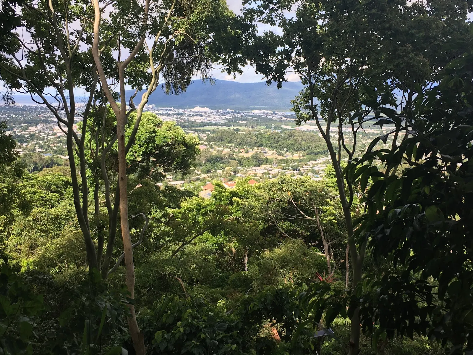 Ivan Evans Walk