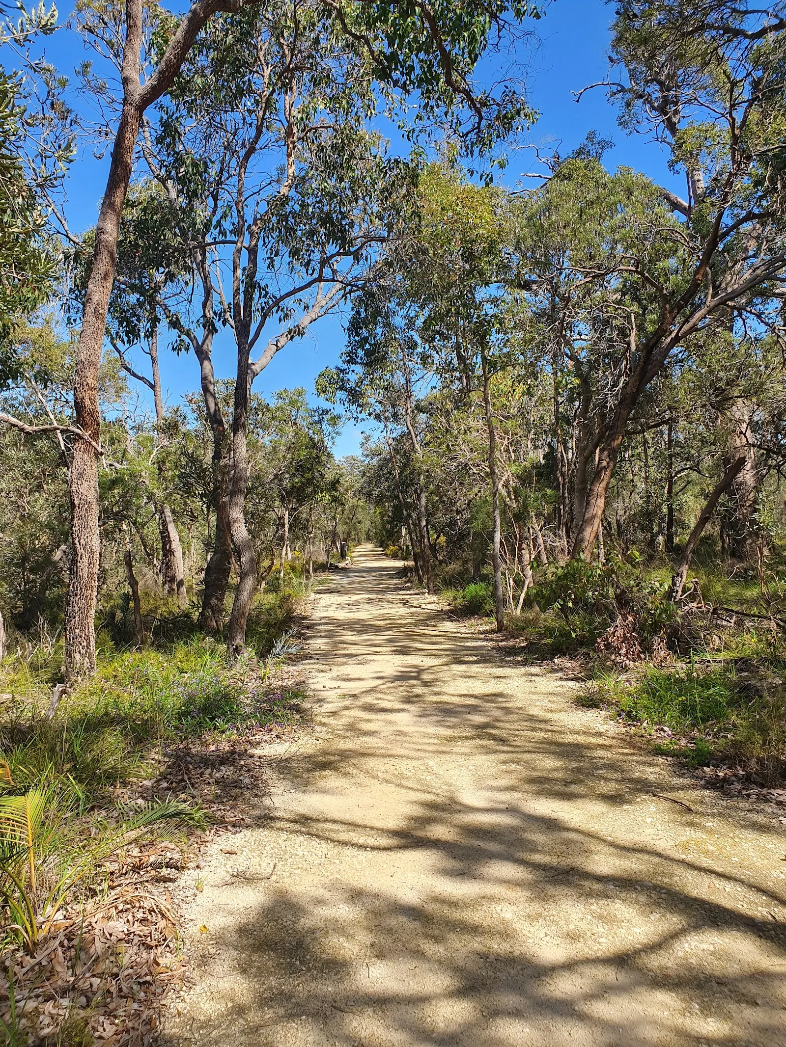 Don Shepherd Nature Reserve Trail