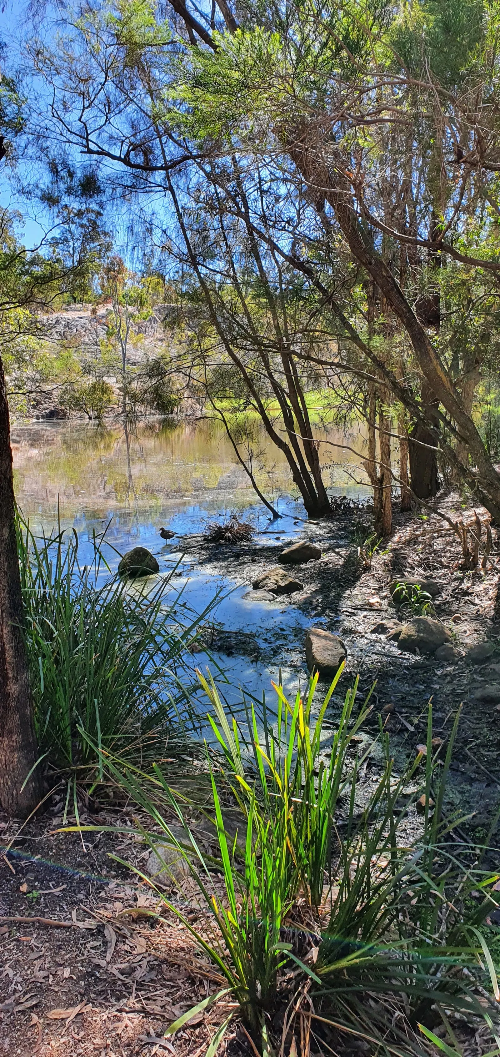 Quarry Pond Picnic Area