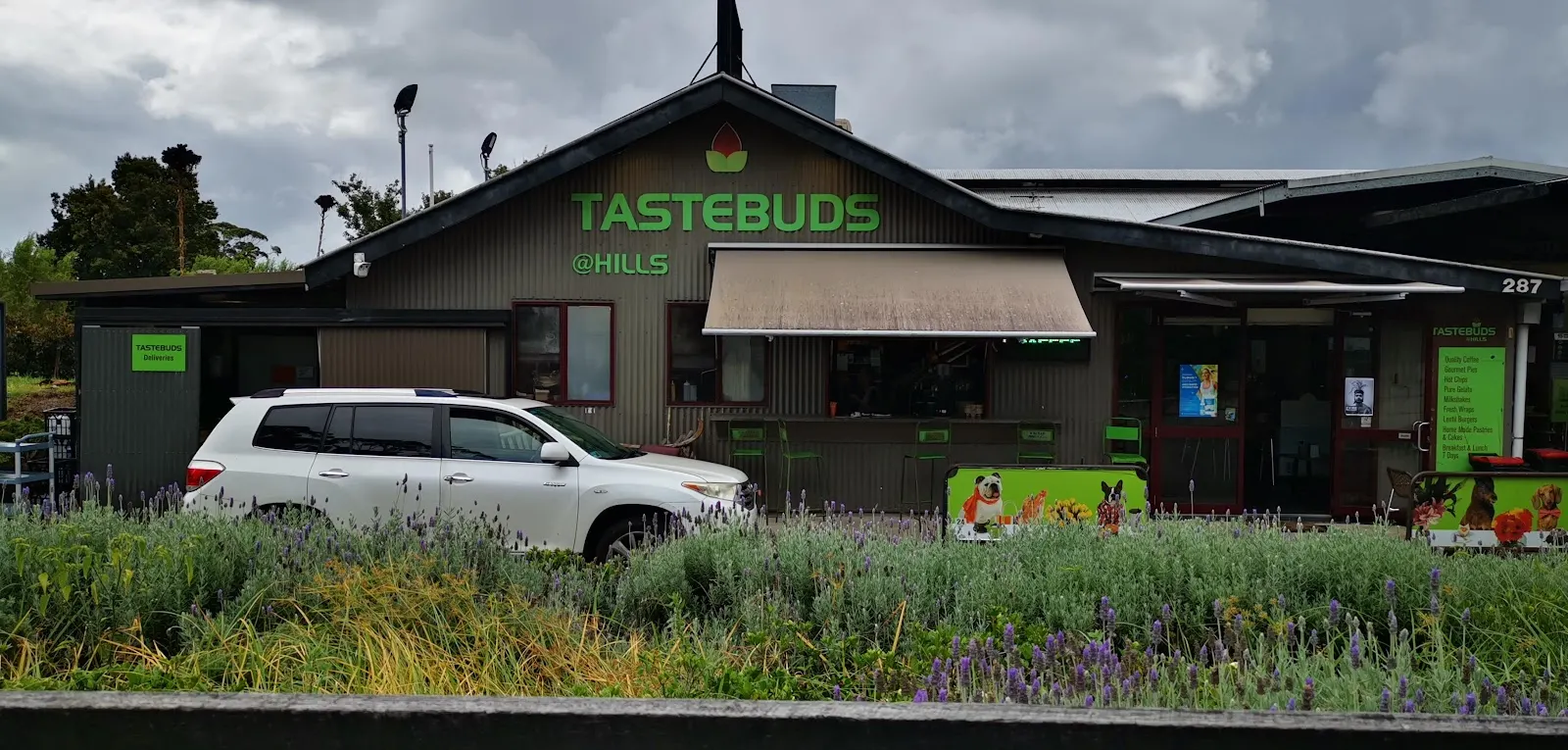 Tastebuds at the Hills