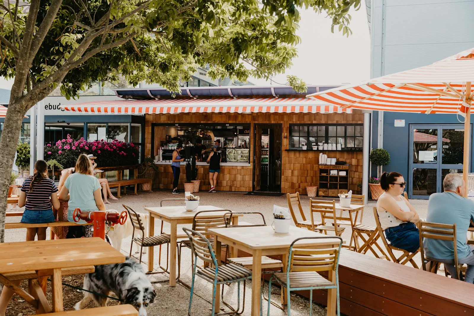 Custard Canteen