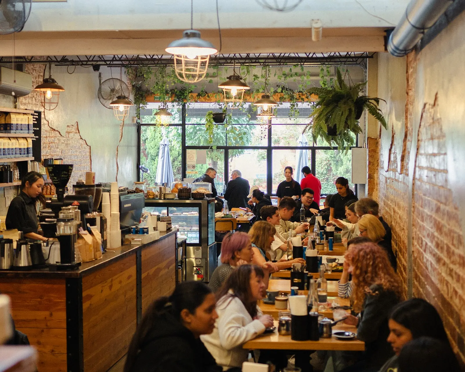 Son of Tucci Cafe Mount Waverley