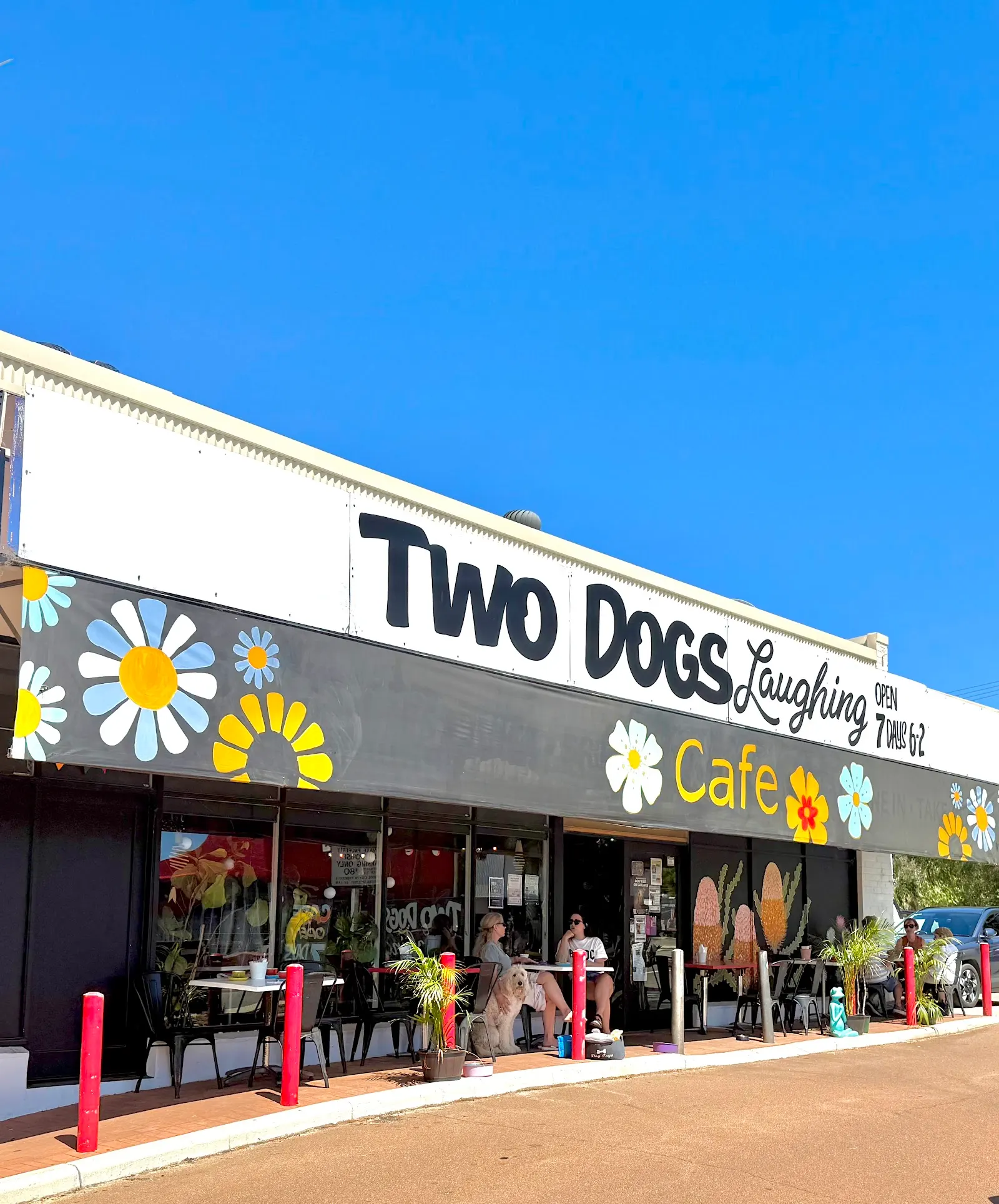 Two Dogs Laughing