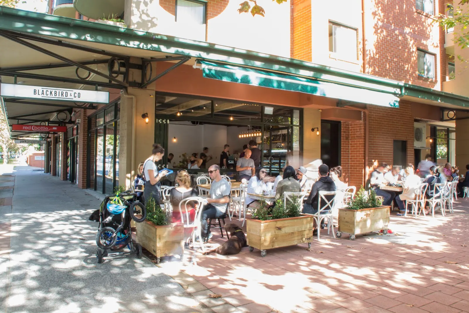 Blackbird & Co