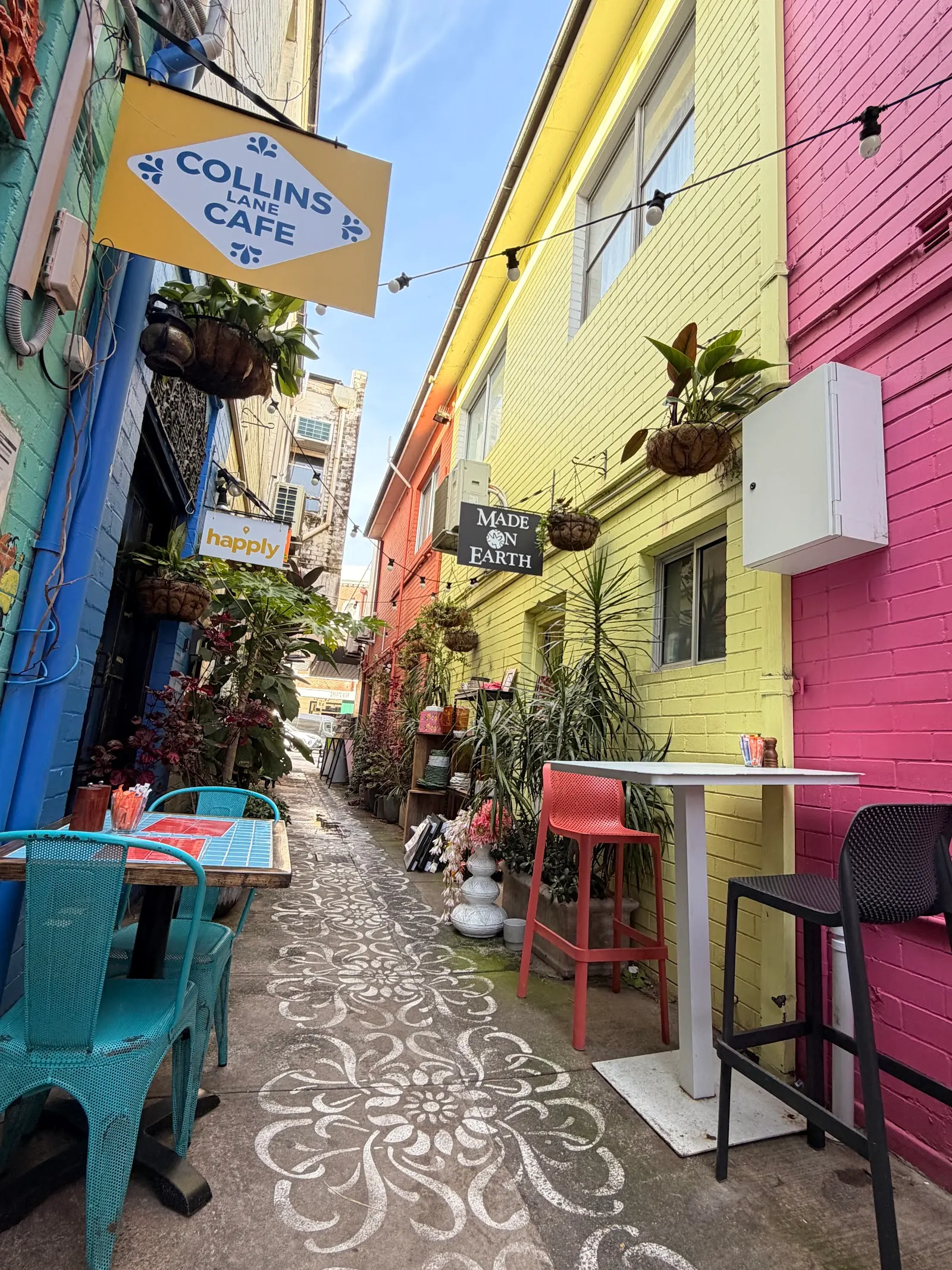 Collins Lane Cafe