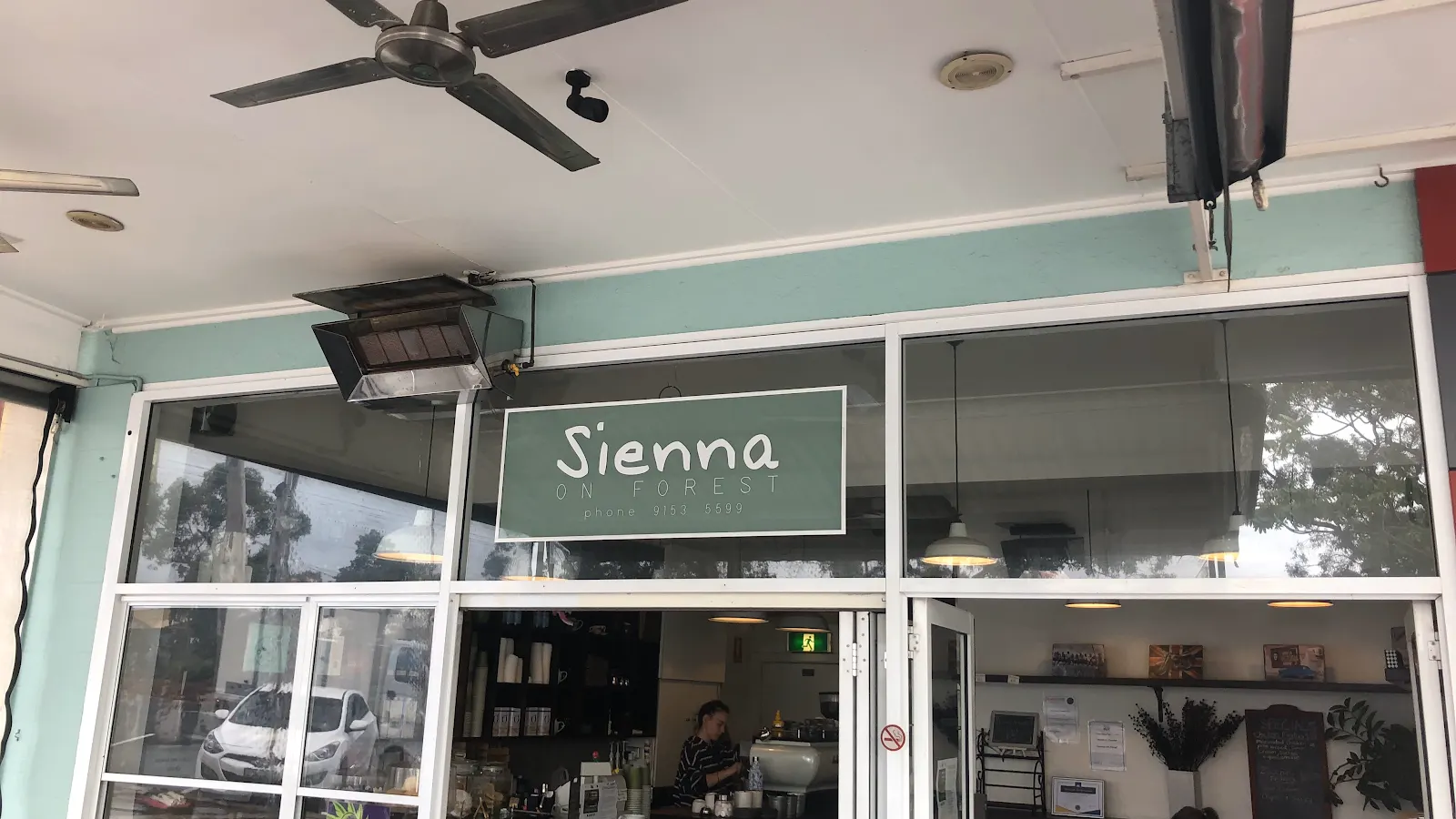Sienna On Forest