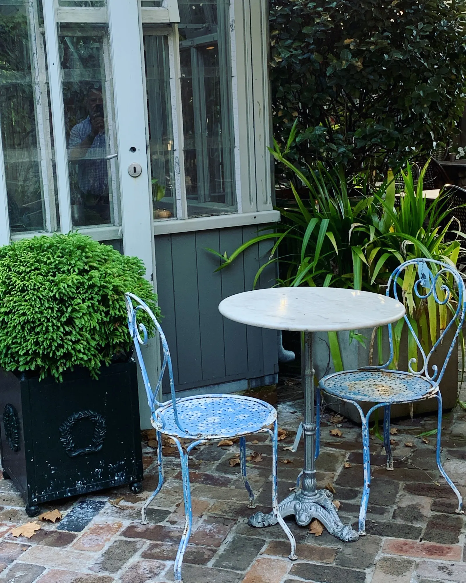 Plane Tree Cafe
