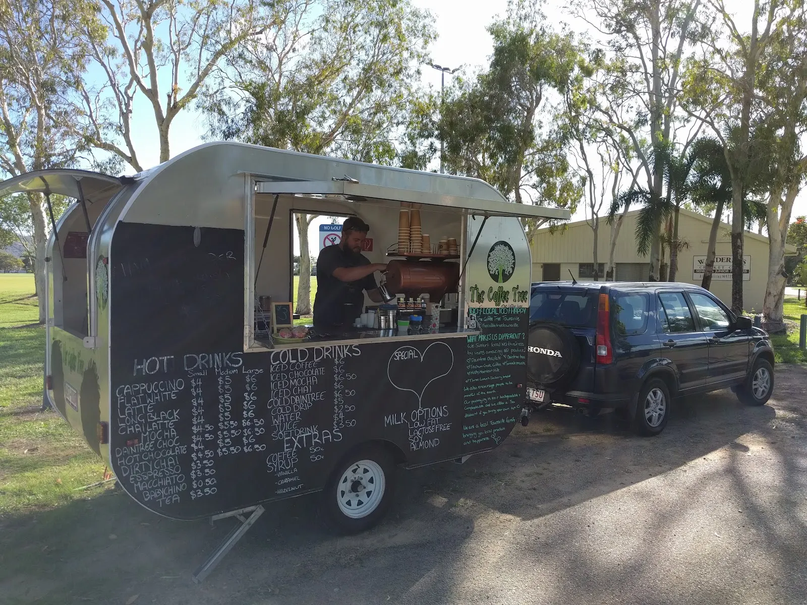 The Coffee Tree