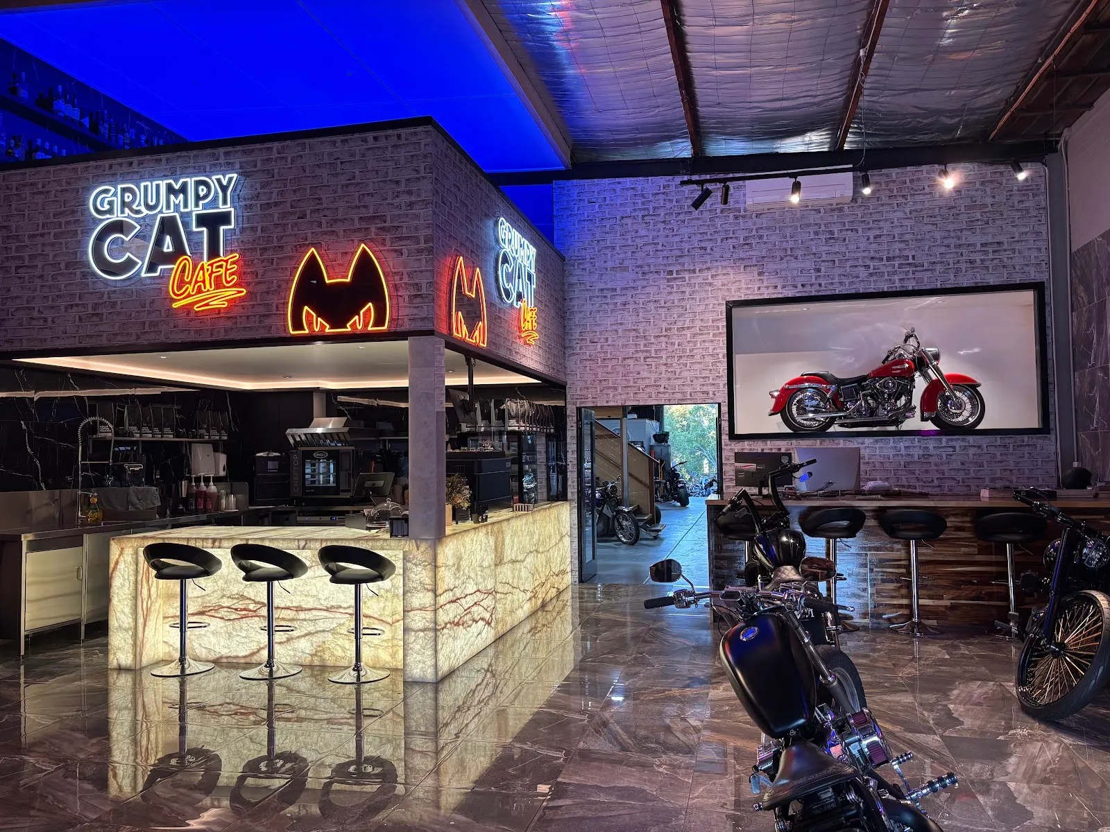 The Grumpy Cat Cafe