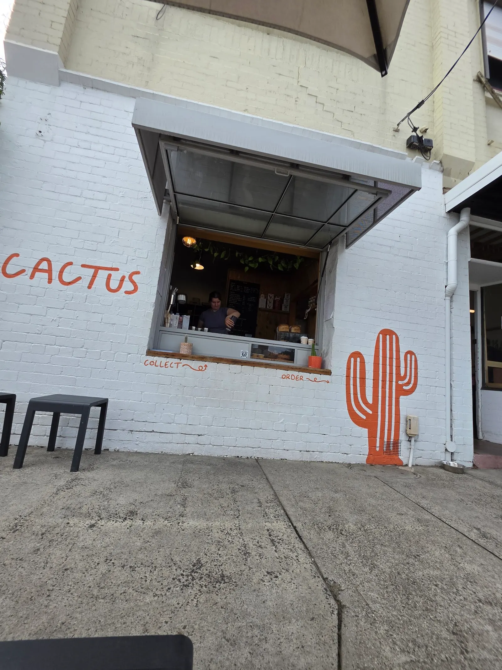 Cactus