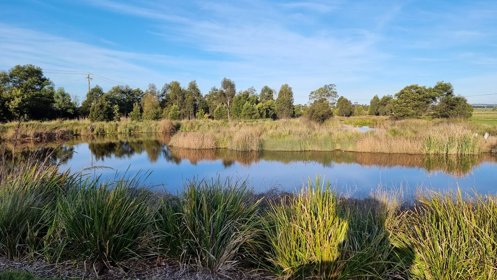 Firmins Lane Wetlands