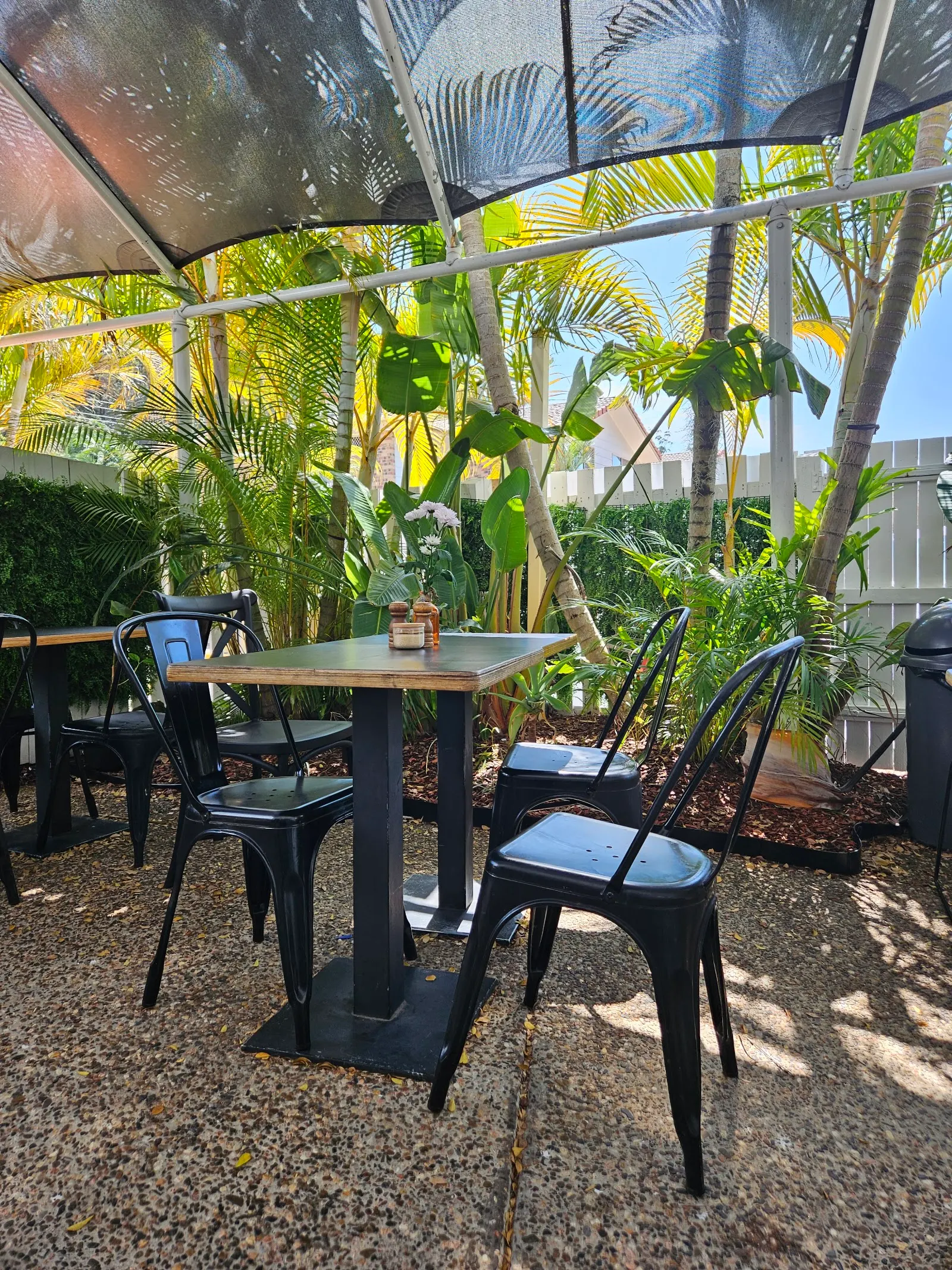 Bancroft Roasters Currumbin
