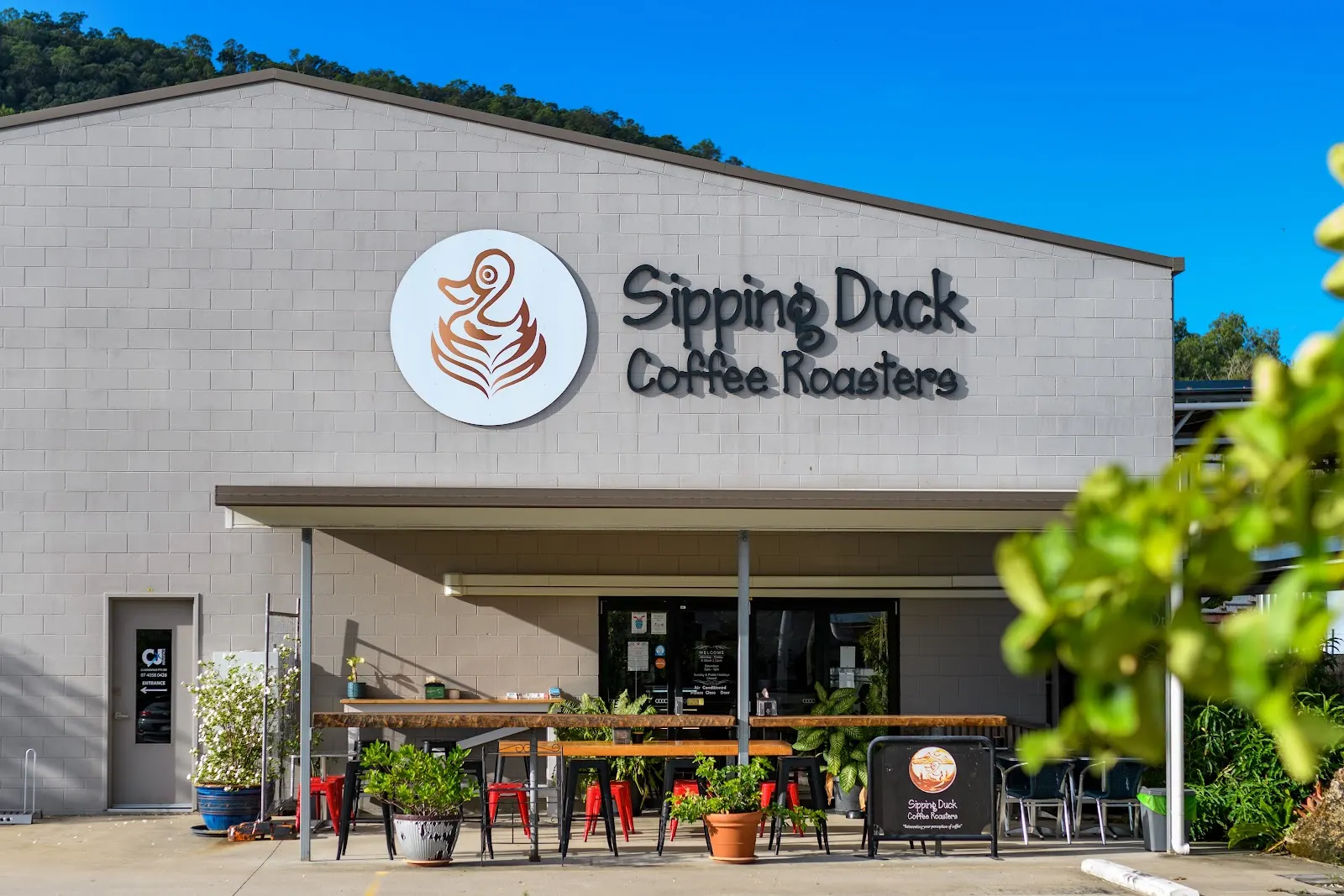 Sipping Duck Coffee Roasters