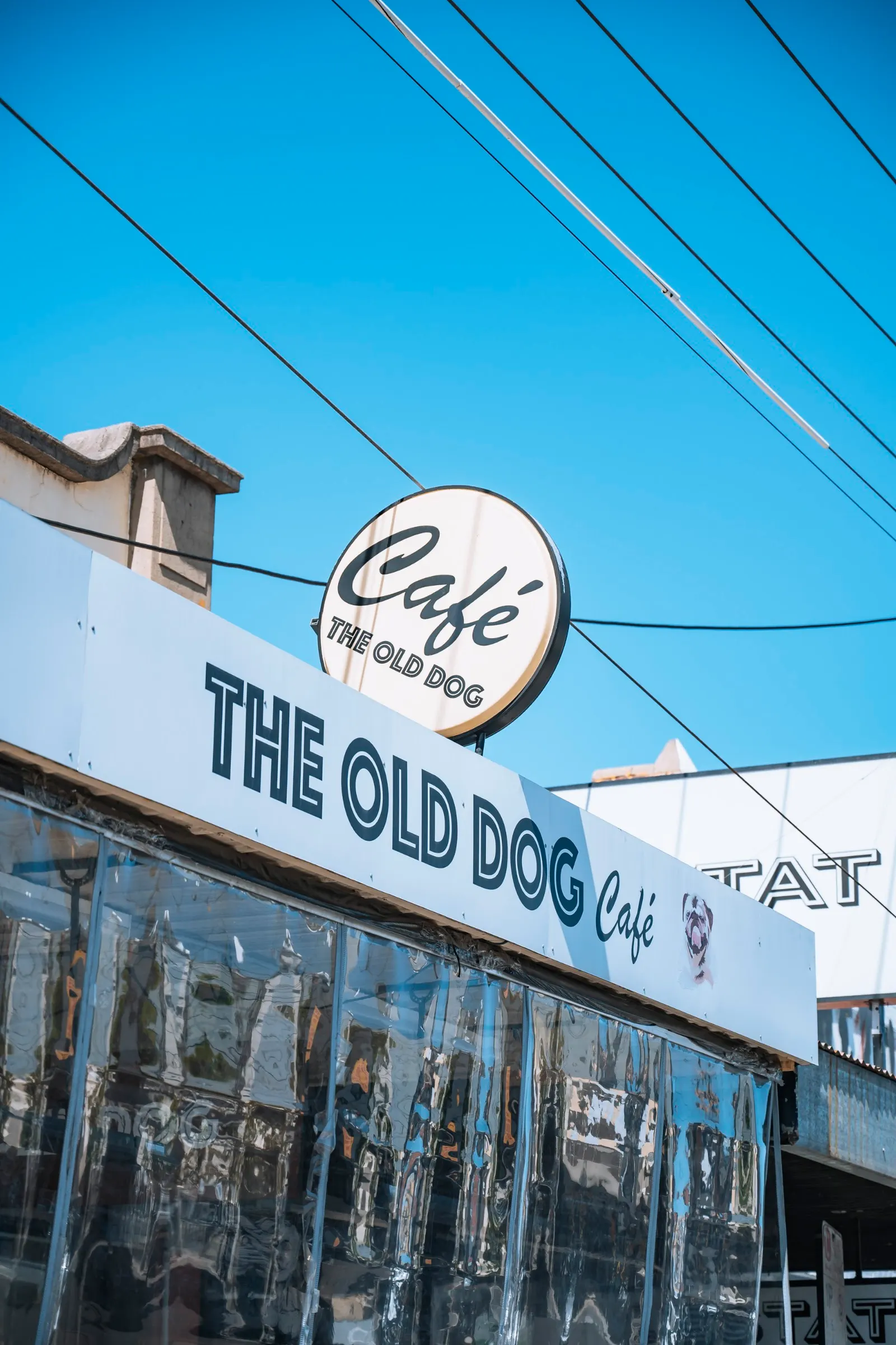 The Old Dog Cafe