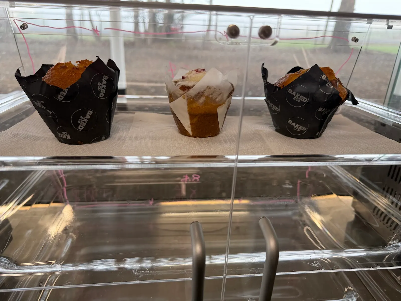 The intershed cafe