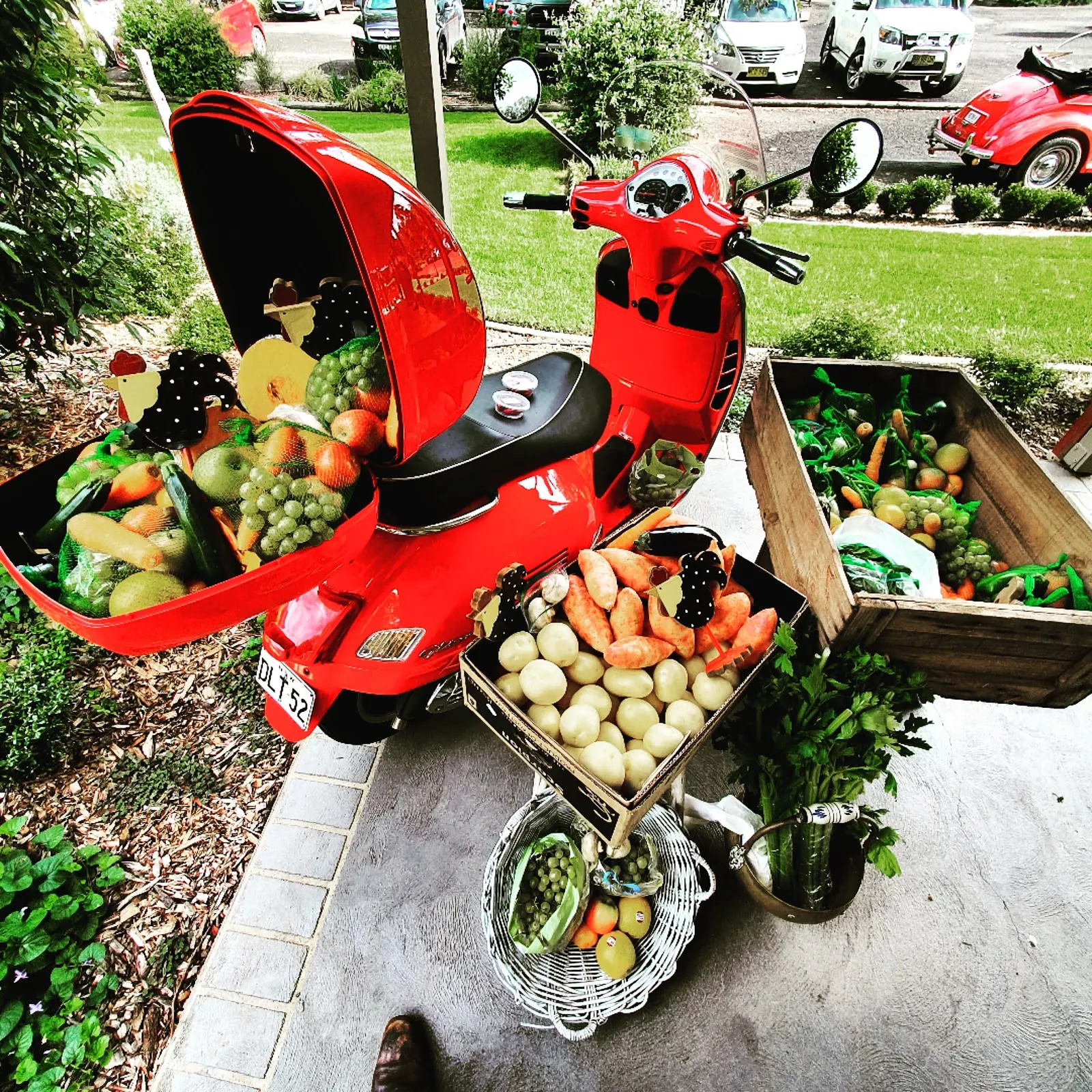 Wildgum Cafe