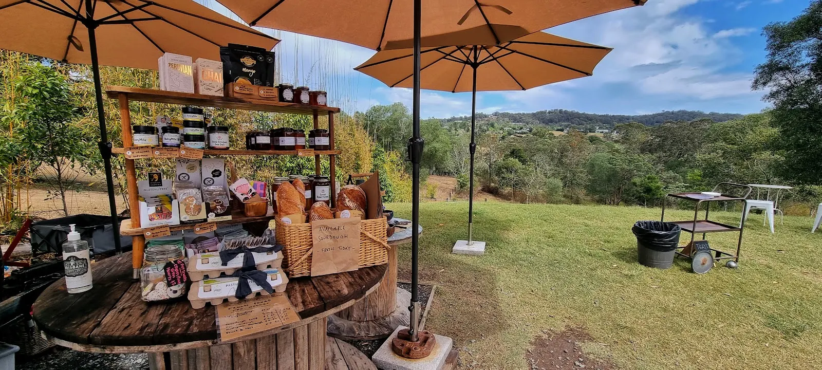 The Curious Caravan Café