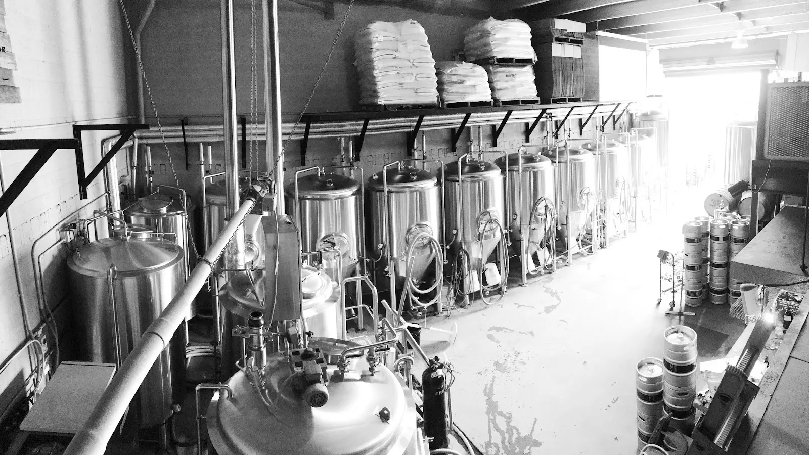 Modus Brewing