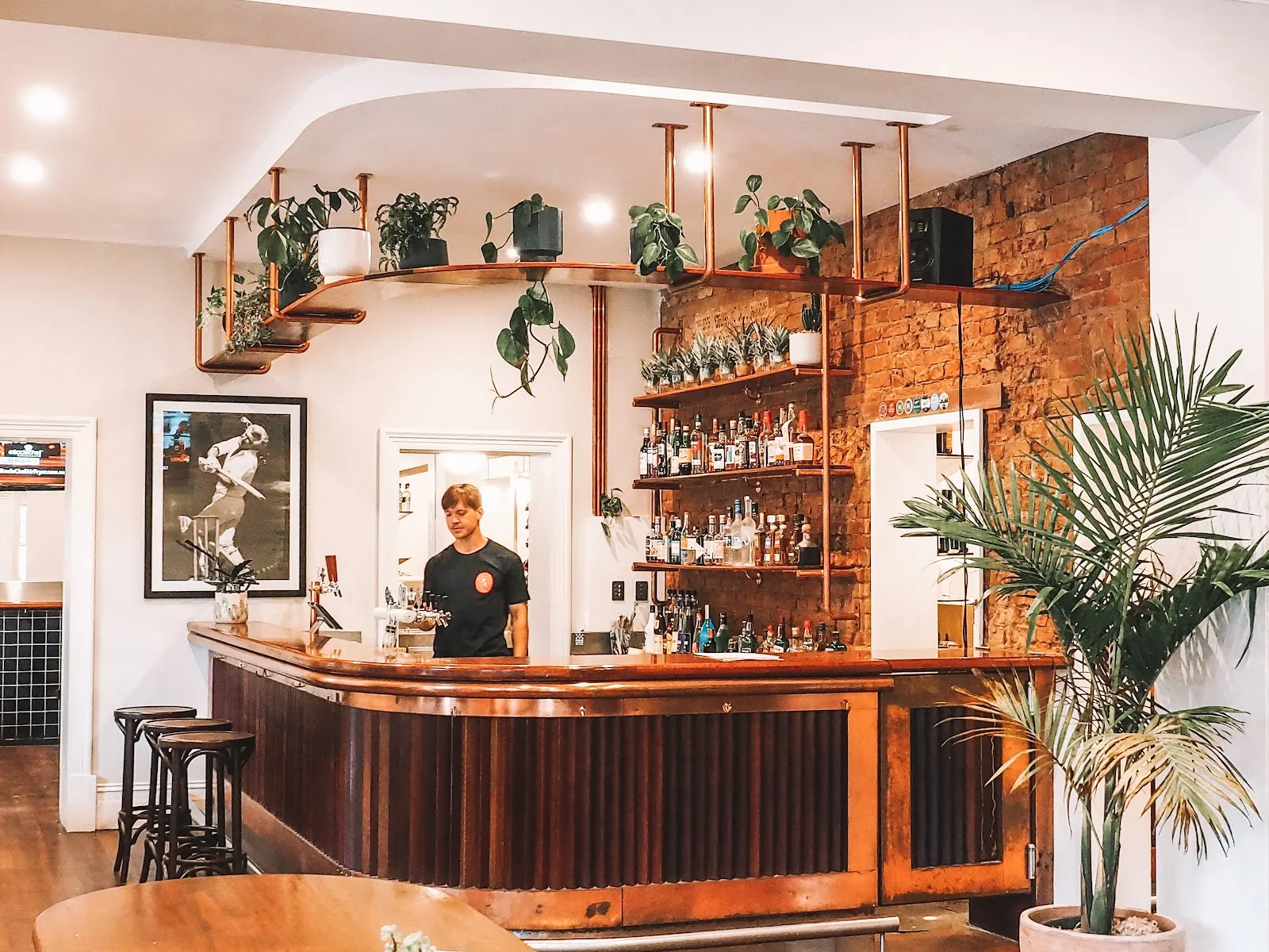Prince Albert Hotel