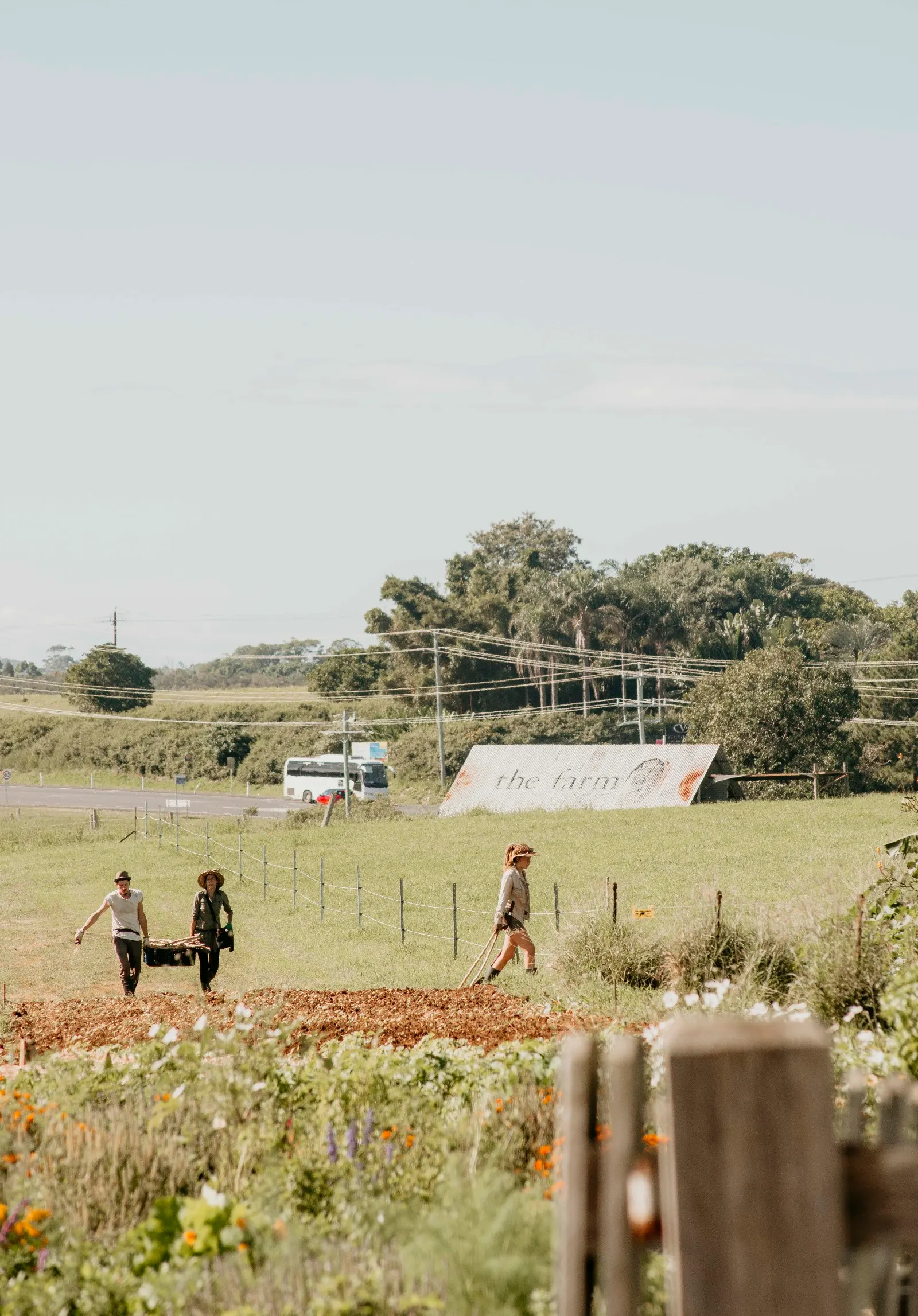 The Farm Byron Bay