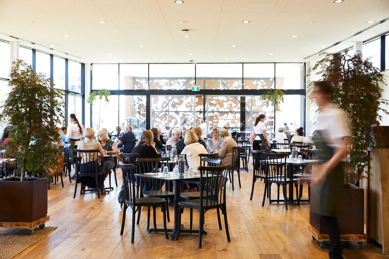 Stella's Kitchen