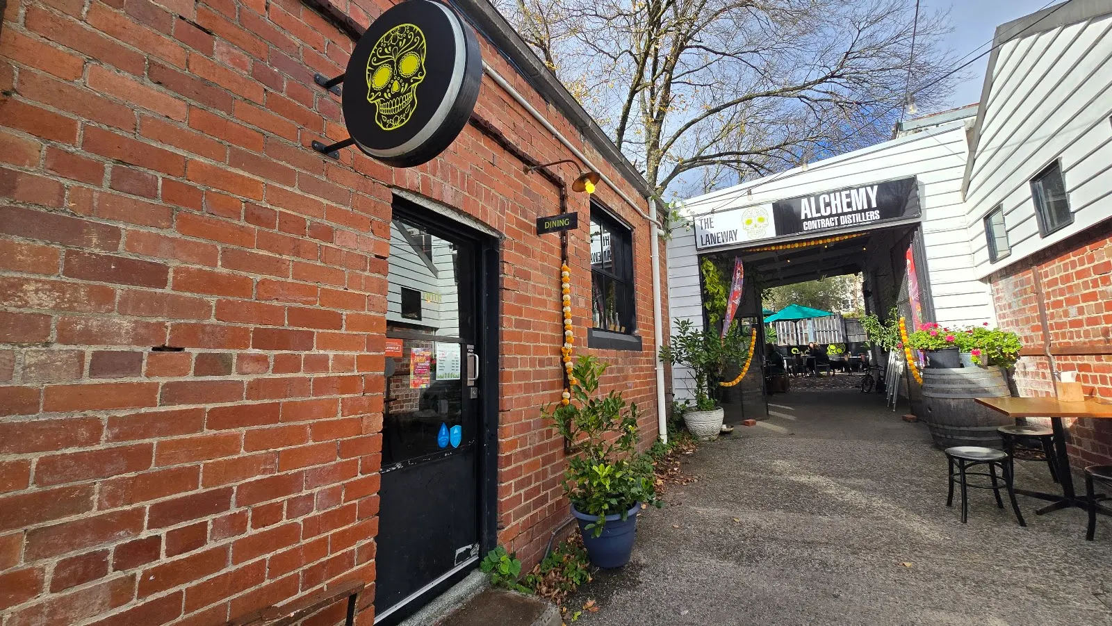 The Laneway Pink Cantina