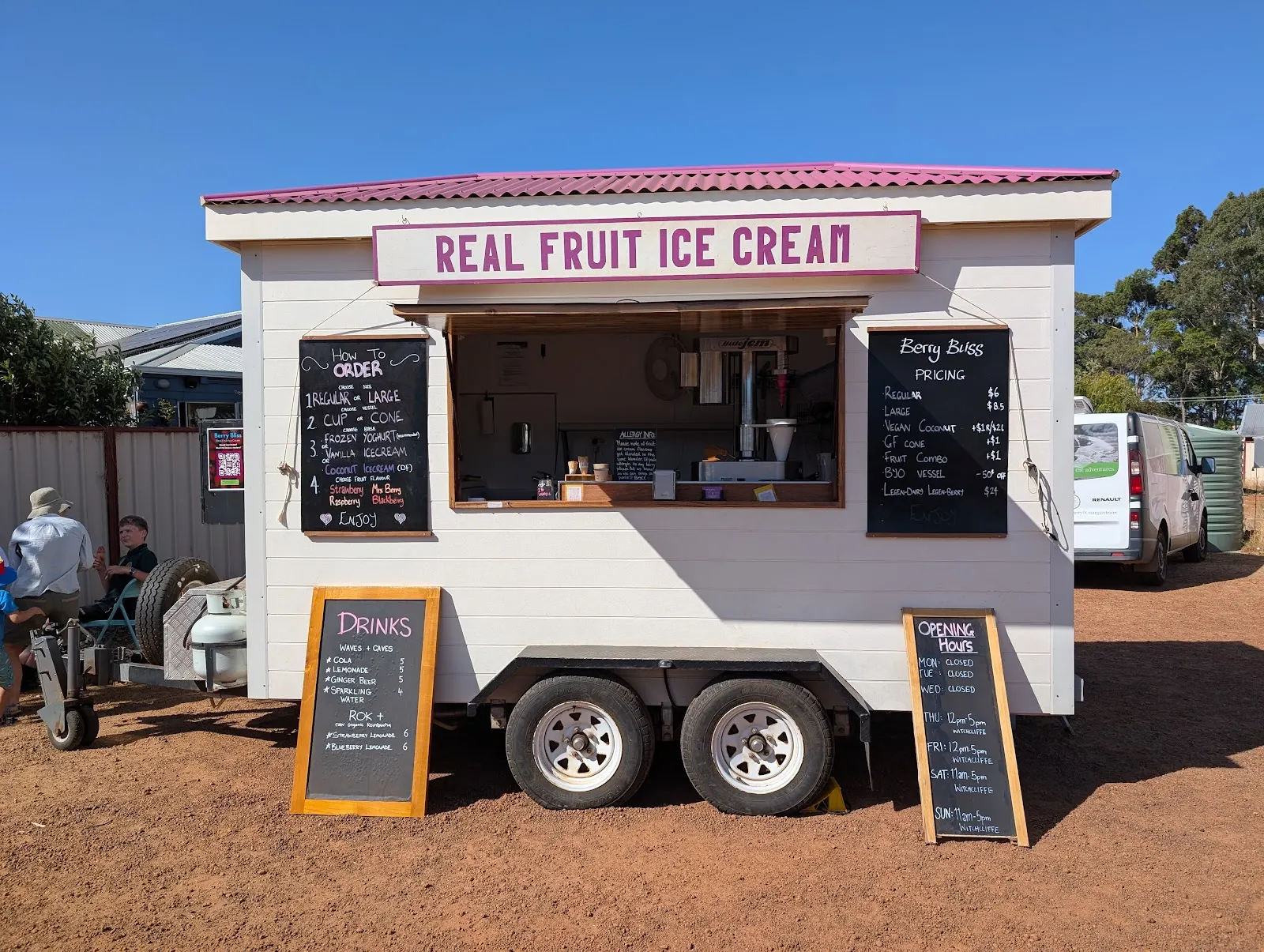 Berry Bliss Real Fruit Ice Cream WA