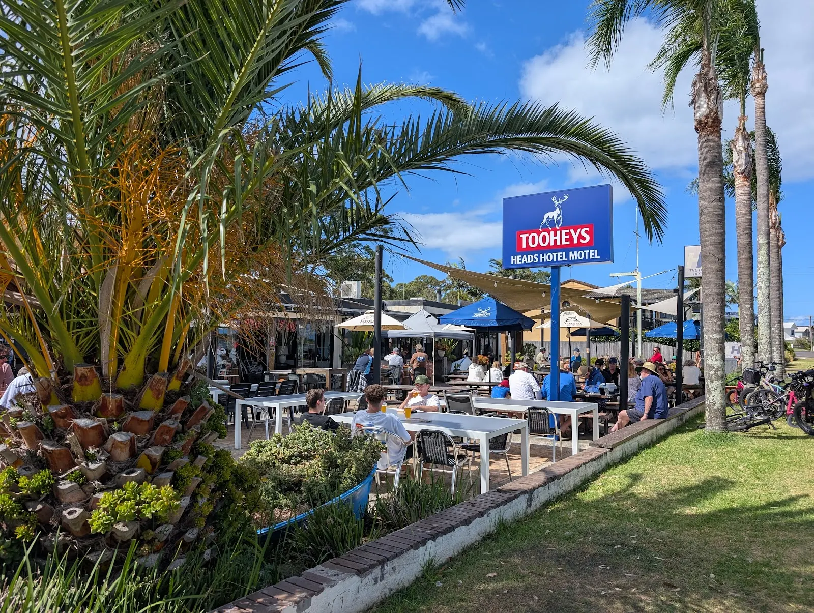 Hedy's Bistro