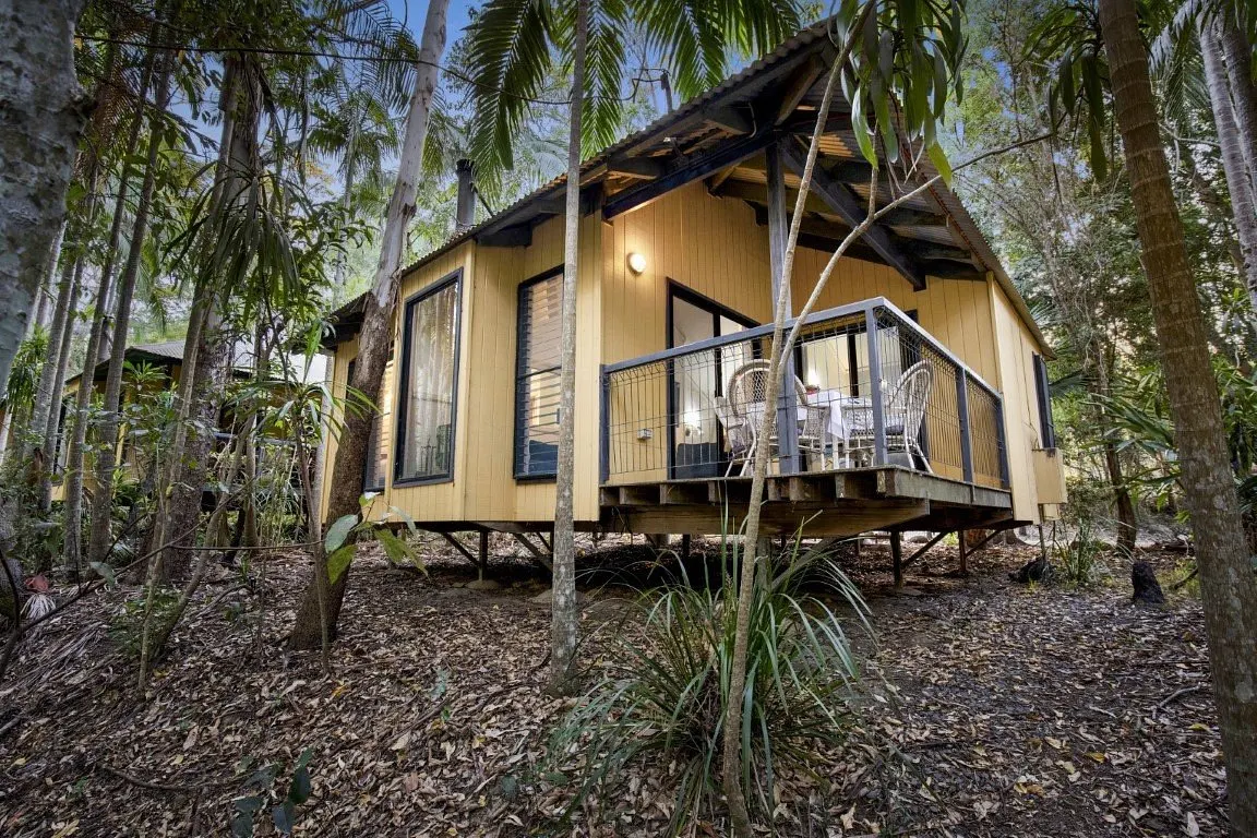 Tamborine Mountain Glades