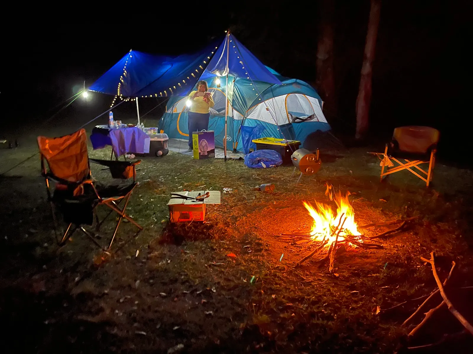 Numinbah Valley Bush Camping
