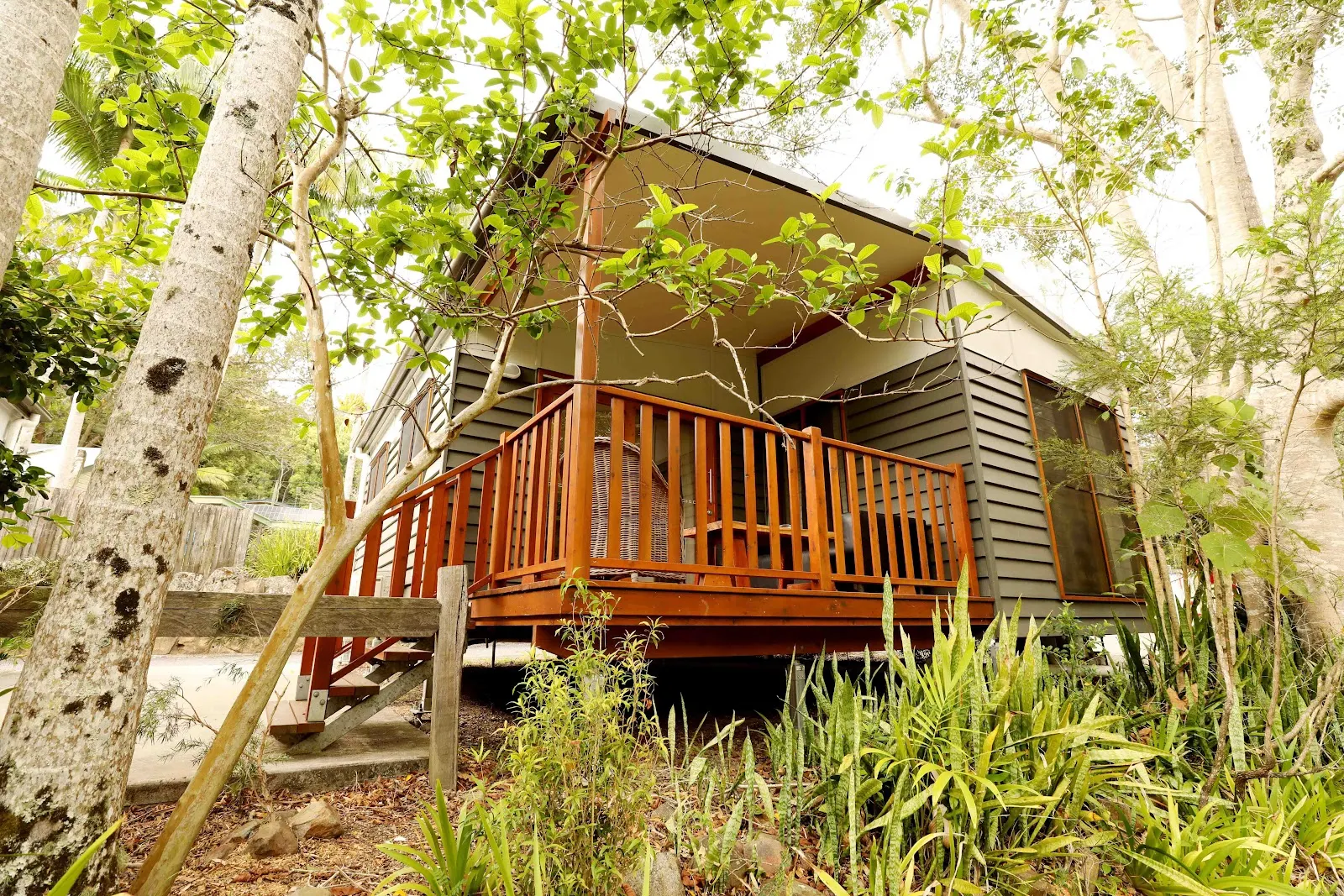 Mt Warning Rainforest Park