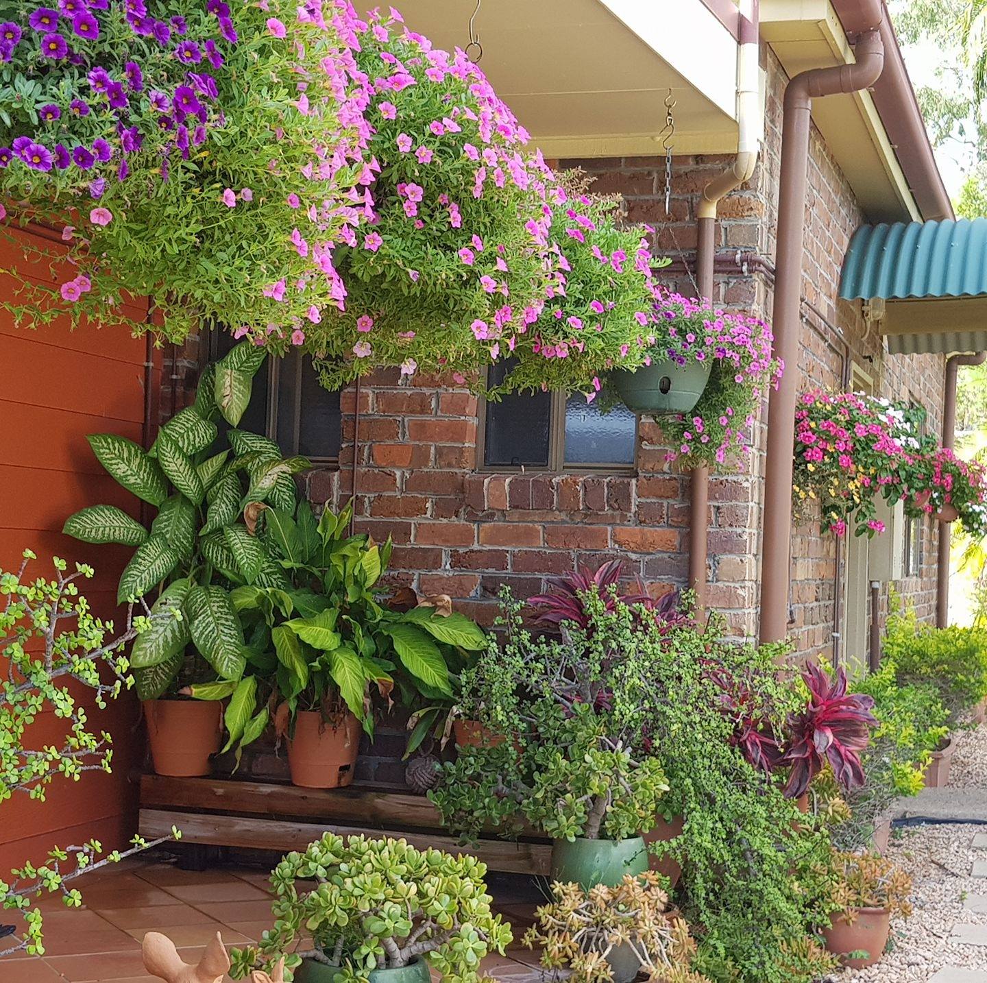 Hay Point Country Bed & Breakfast
