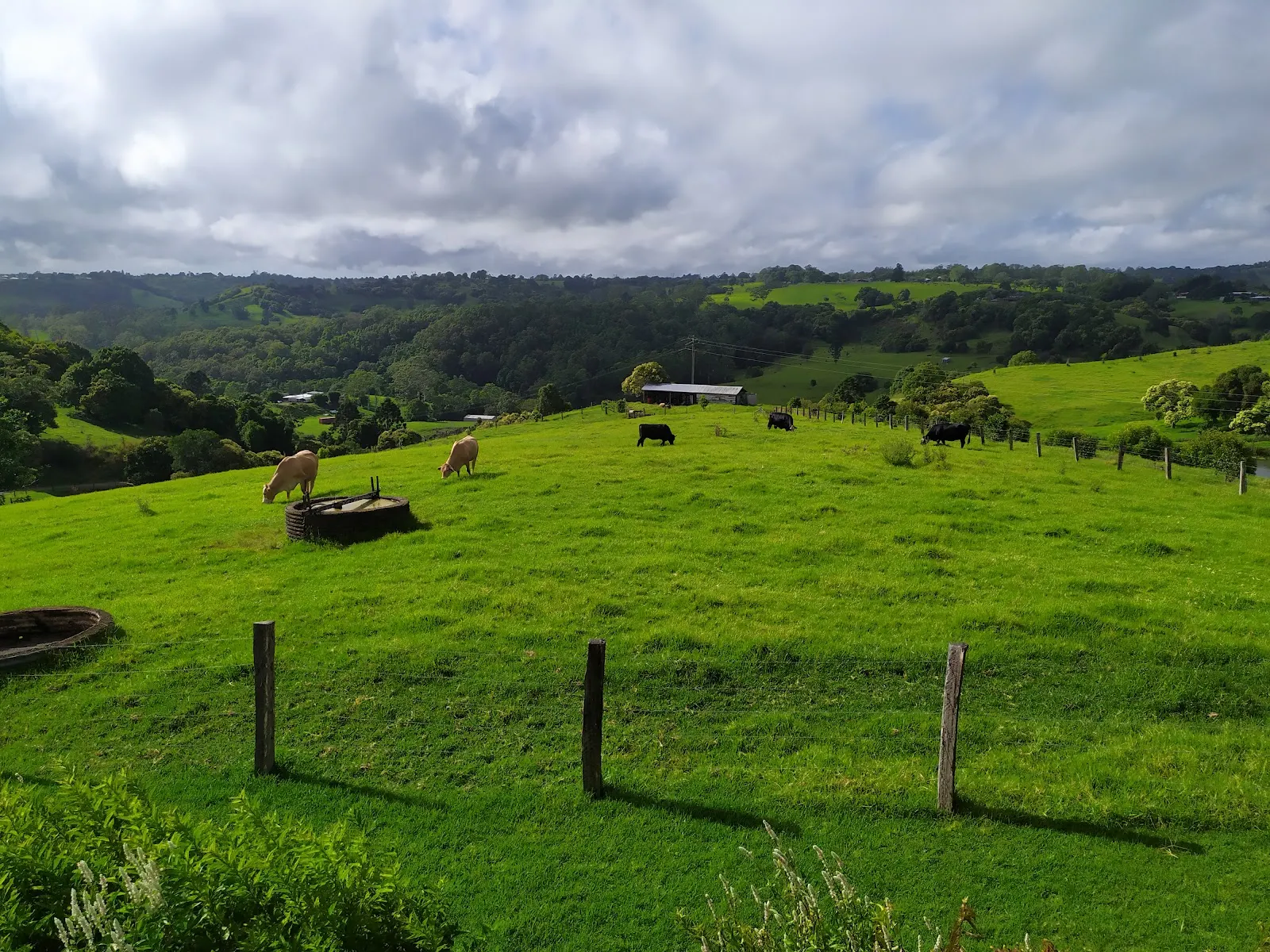 Bunya@Maleny Farm House