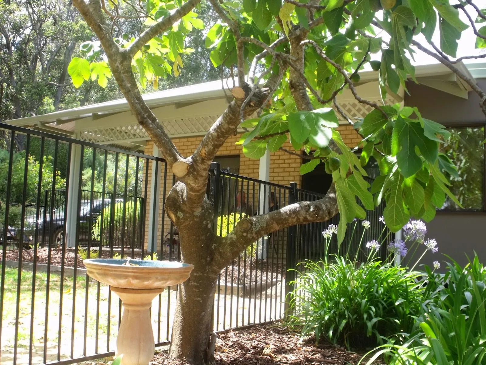 Margaret House
