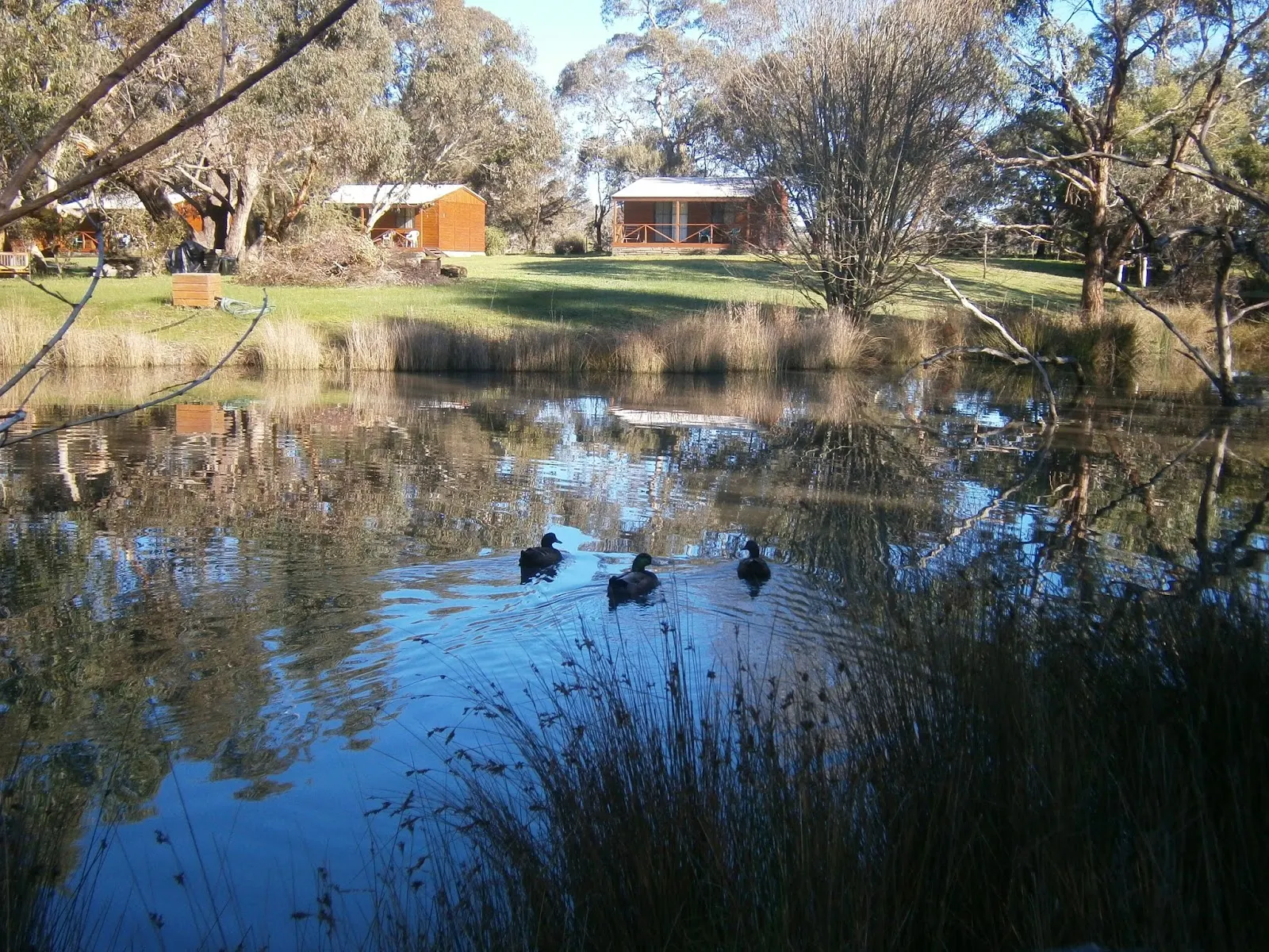 Compass Country Cabins