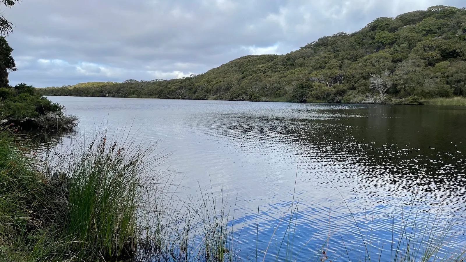 Torbay West camp ground