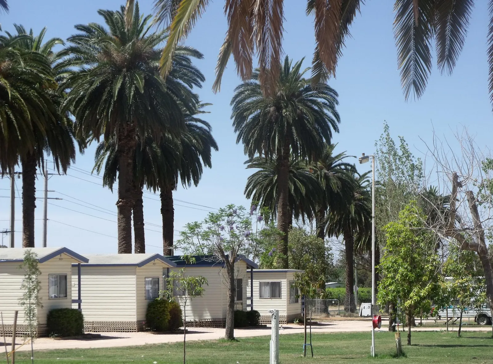 The Palms Caravan Park