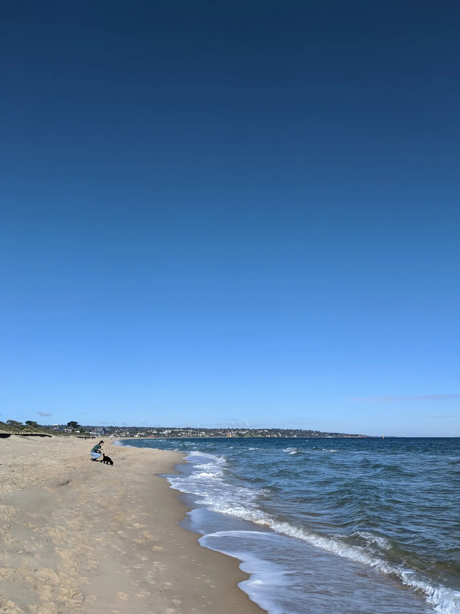Seaford Beach Cabin Park